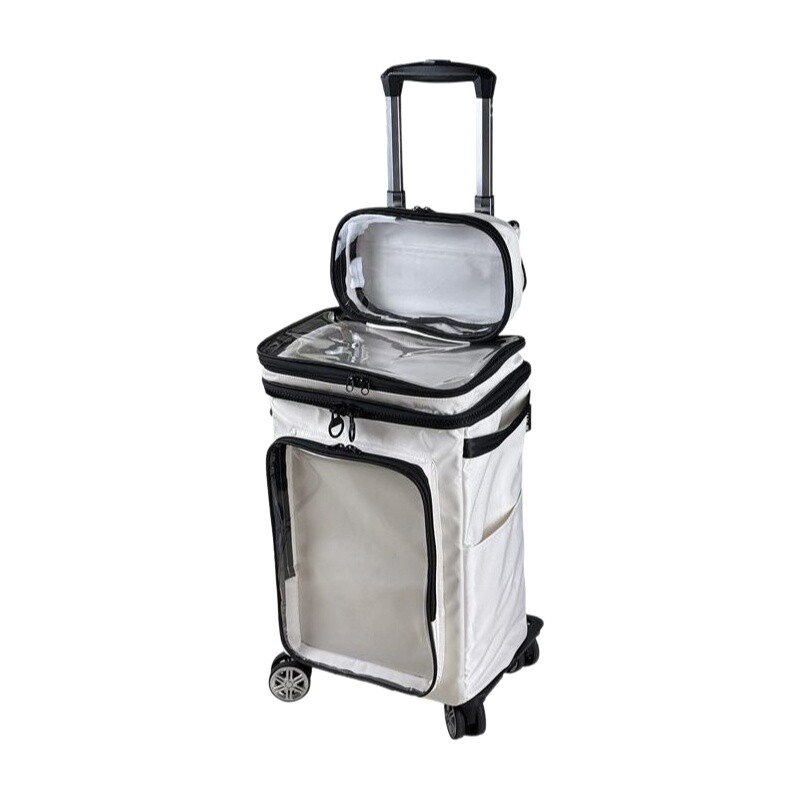 Travel Packing Cube - Harajuku stijl cartoon transparante bagage 20